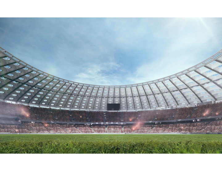 Scoring Sustainable Goals: How Sports Can Change the World